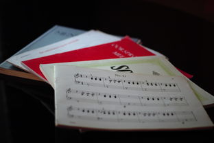 九游体育官网入口-中小学体育课程内容优化实践，中小学体育课程一体化研究