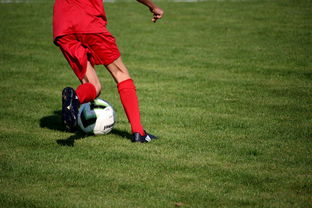 九游娱乐在线-校园足球师资培训体系建设方案,校园足球特色学校教师(教练员)线上培训