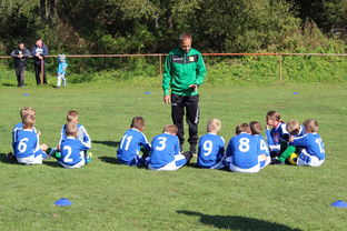 九游娱乐app下载-德甲客场战术大公开，德甲打法